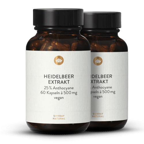 Heidelbeer Extrakt Kapseln
