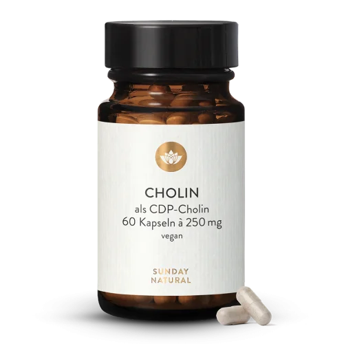 CDP-Cholin Kapseln 250mg