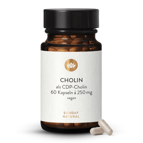 CDP-Cholin Kapseln 250mg