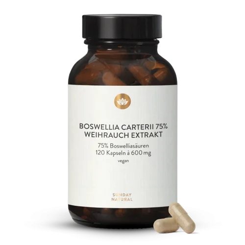 Extrait d'encens oliban (Boswellia carterii) 75 %