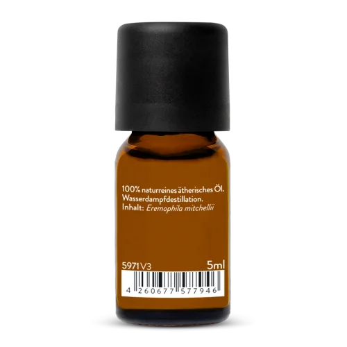 Buddha Wood Oil Wild