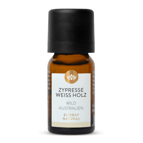 Zypressenl Wei Holz Wild