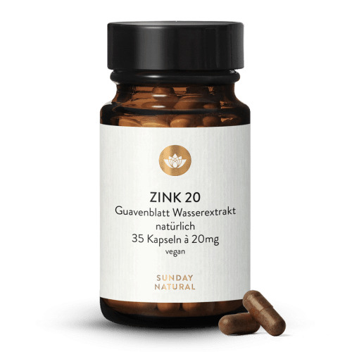 ZINK PFLANZLICH 20mg HOCHDOSIERT