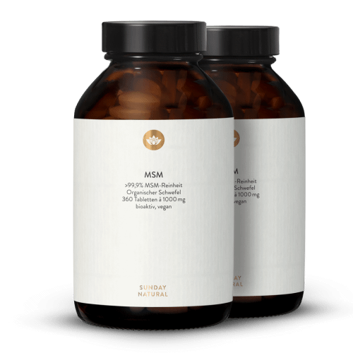 MSM 1000 360 Tabletten