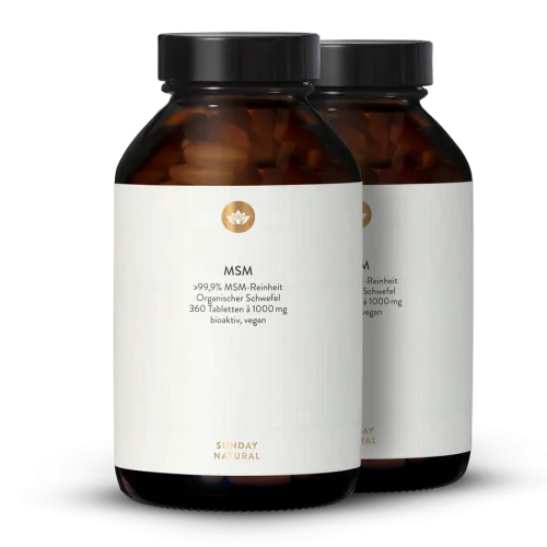 MSM 1000 360 Tabletten