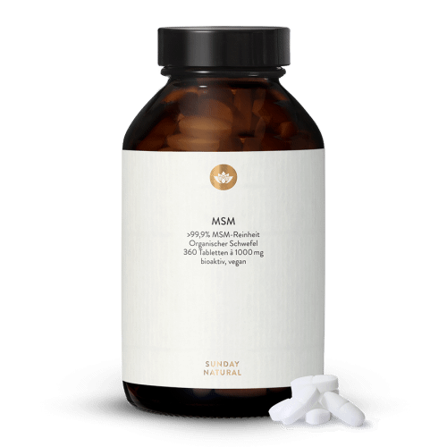 MSM 1000 360 Tabletten