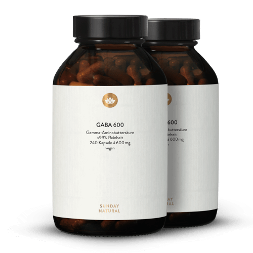 Gaba 600 Mg En Glules