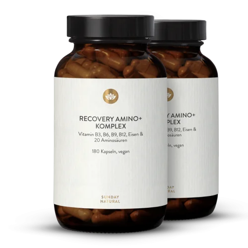 Recovery Amino+ Komplex