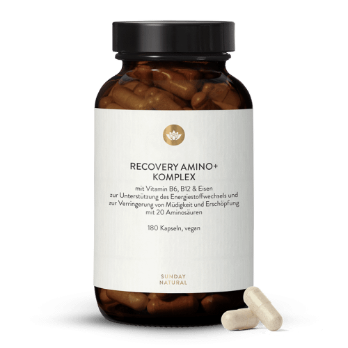 Complexe Amino+ Recovery