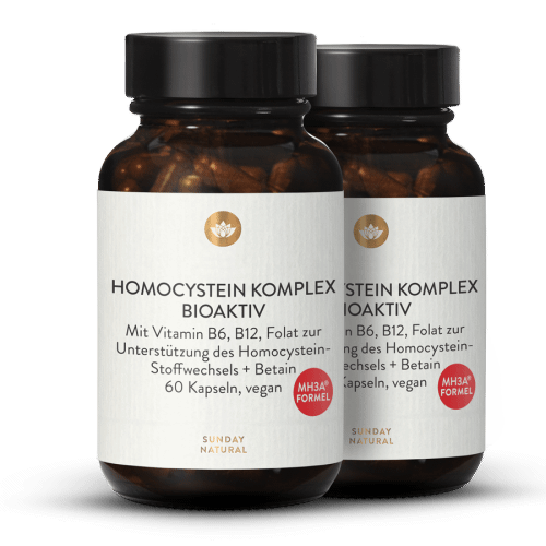 Homocystein  Komplex