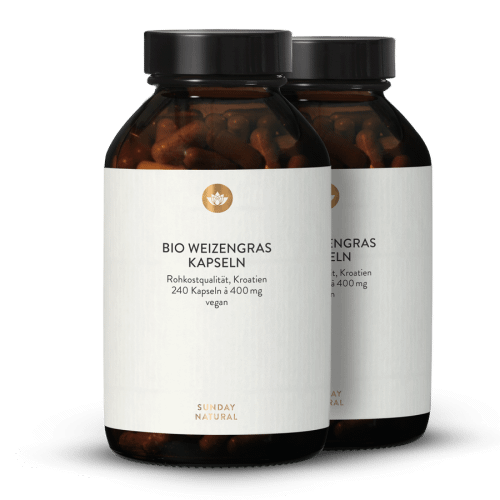 Bio Weizengras Kapseln