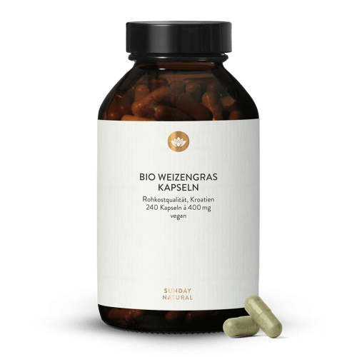 Bio Weizengras Kapseln