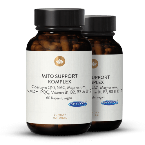 Mito Support Komplex