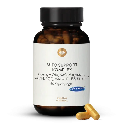 Mito Support Komplex