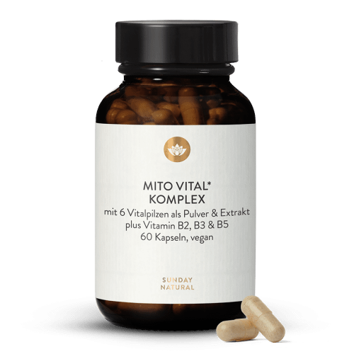 Mito Vital Komplex