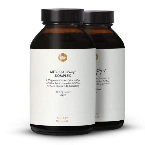 Mito Recovery Complex