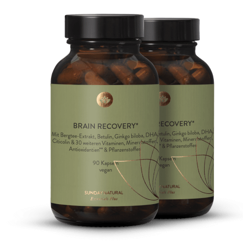 Brain Recovery