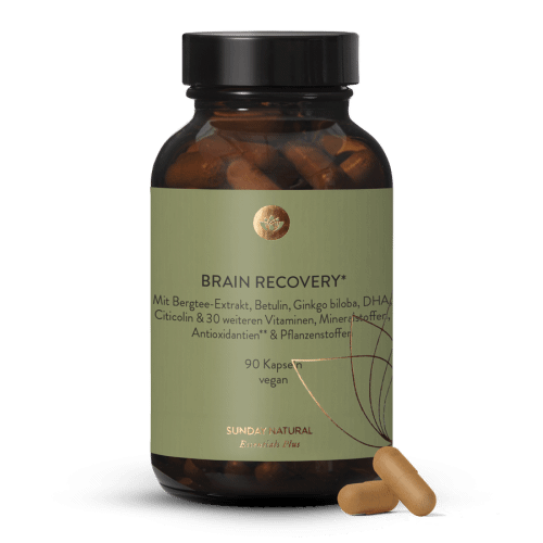 Brain Recovery