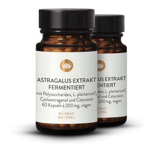 Astragalus Extrakt Fermentiert