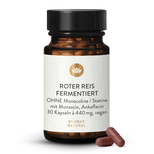 Red Yeast Rice Without Monacolins