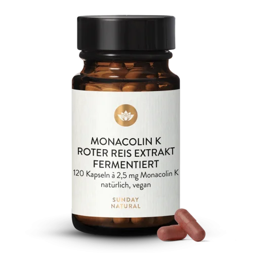 Monacolin K Roter Reis