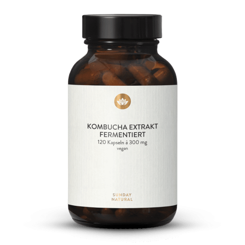 Kombucha Extrakt