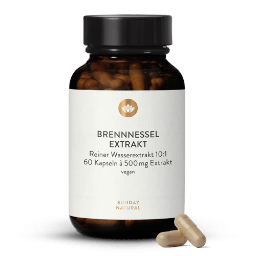 Brennnessel Extrakt
