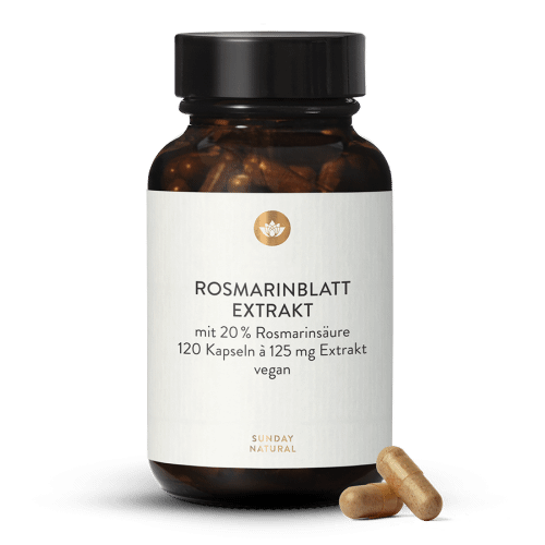 Extrait de feuilles de romarin