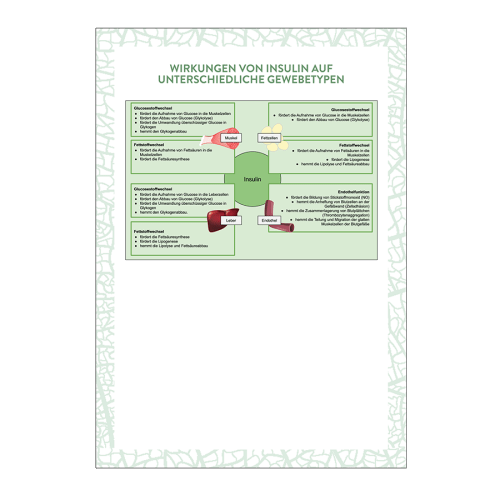 Hoher Blutzucker, Diabetes und metabolisches Syndrom