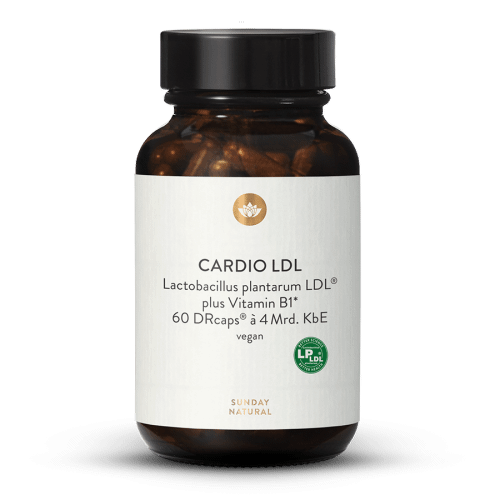 Cardio LDL Lactobacillus plantarum LDL Kapseln
