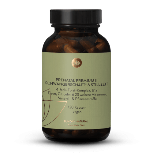 Pregnancy & Breastfeeding Premium II