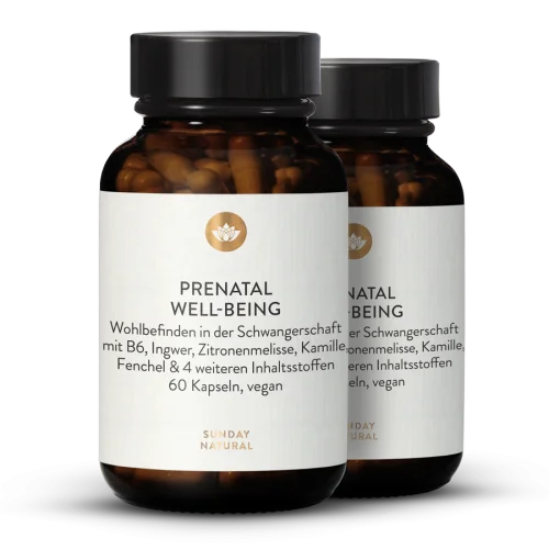 Prenatal Well-Being
