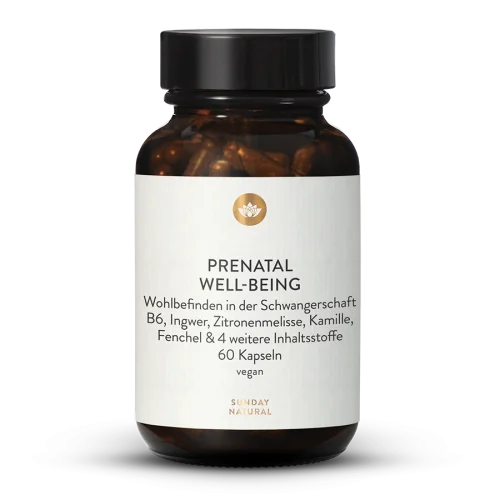 Prenatal Well-being