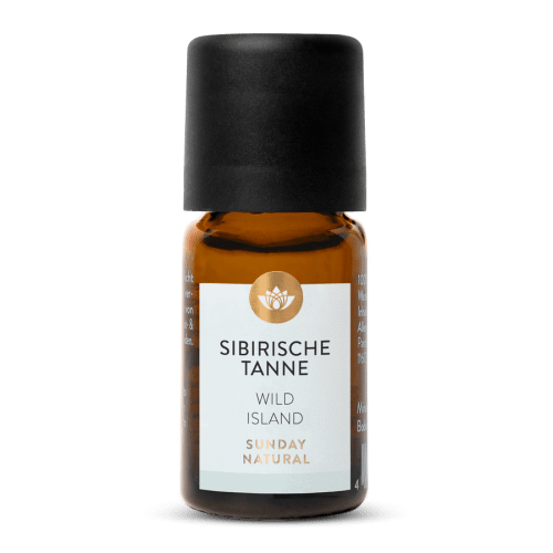 Sibirische Tanne Wild