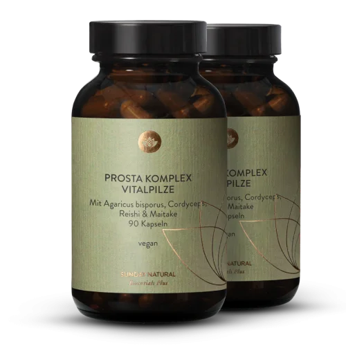 Prosta komplex Vitalpilze