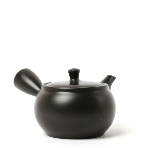 Kyusu Tokoname Hiraami