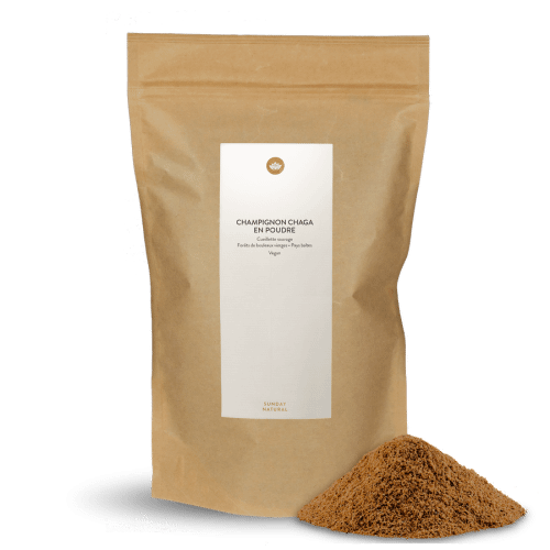 Poudre de chaga (cueillette sauvage)
