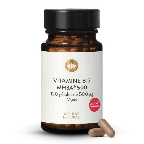 Vitamine B12 bioactive formule MH3A 500 g