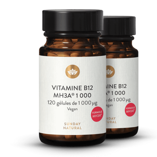 Vitamine B12 1000 g Formule MH3A