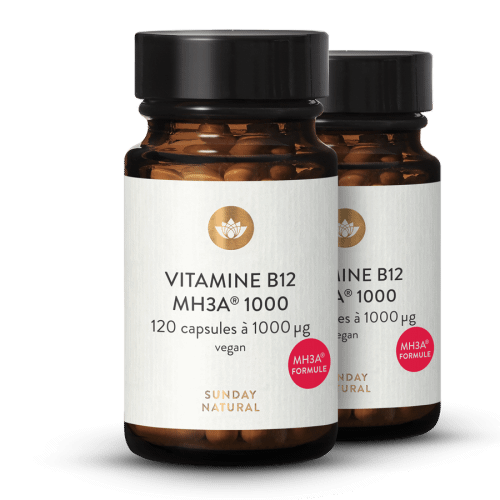 Vitamine B12 MH3A formule1000 g