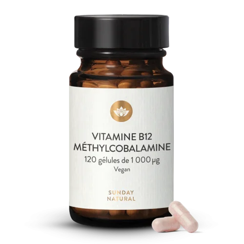 Vitamine B12 1000 g -  Mthylcobalamine