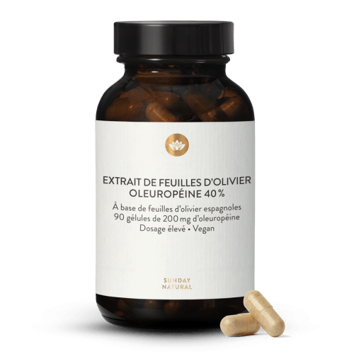 Extrait de feuilles d'olivier en glules