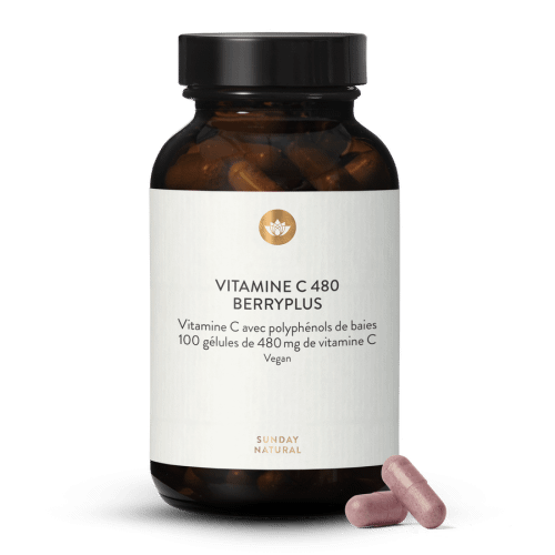 Vitamine C 480 Berryplus