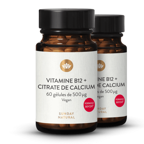 Vitamine B12 Mh3a + Calcium 500 g