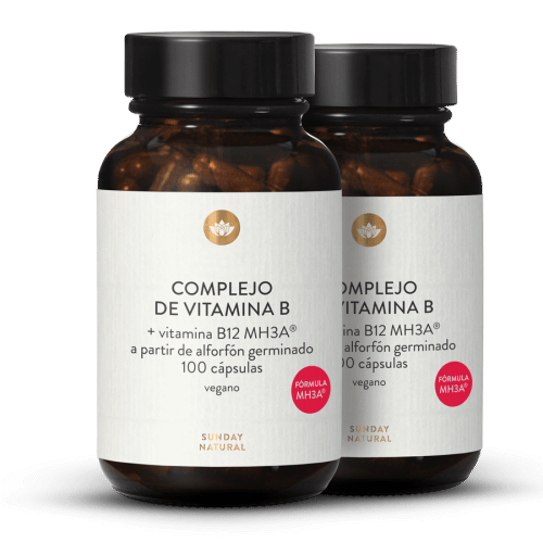 Complejo de vitamina B + B12 MH3A