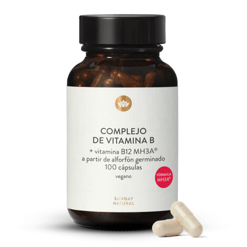 Complejo de vitamina B + B12 MH3A