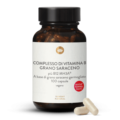 Complesso di vitamina B + B12 MH3A