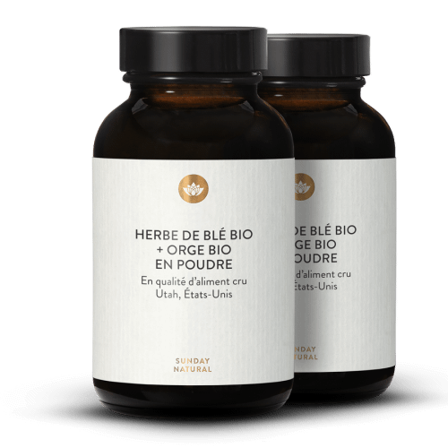 Mlange en poudre de jus d'herbe de bl + orge bio