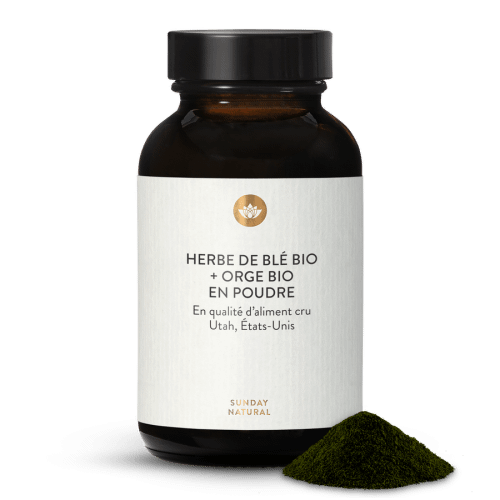 Mlange en poudre de jus d'herbe de bl + orge bio