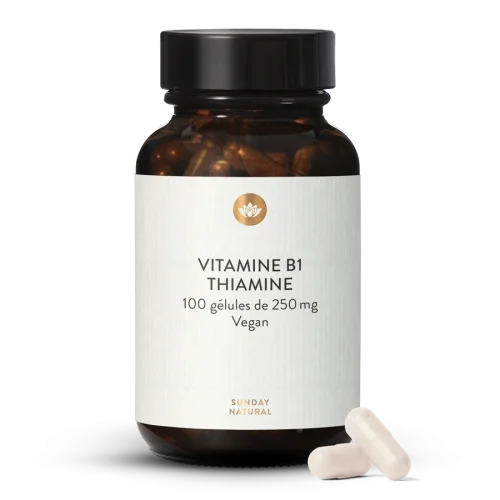 Vitamine B1 (thiamine) 250 mg